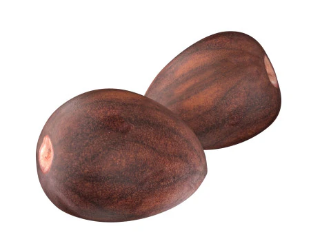 Coleta de Sementes v2 Modelo 3D