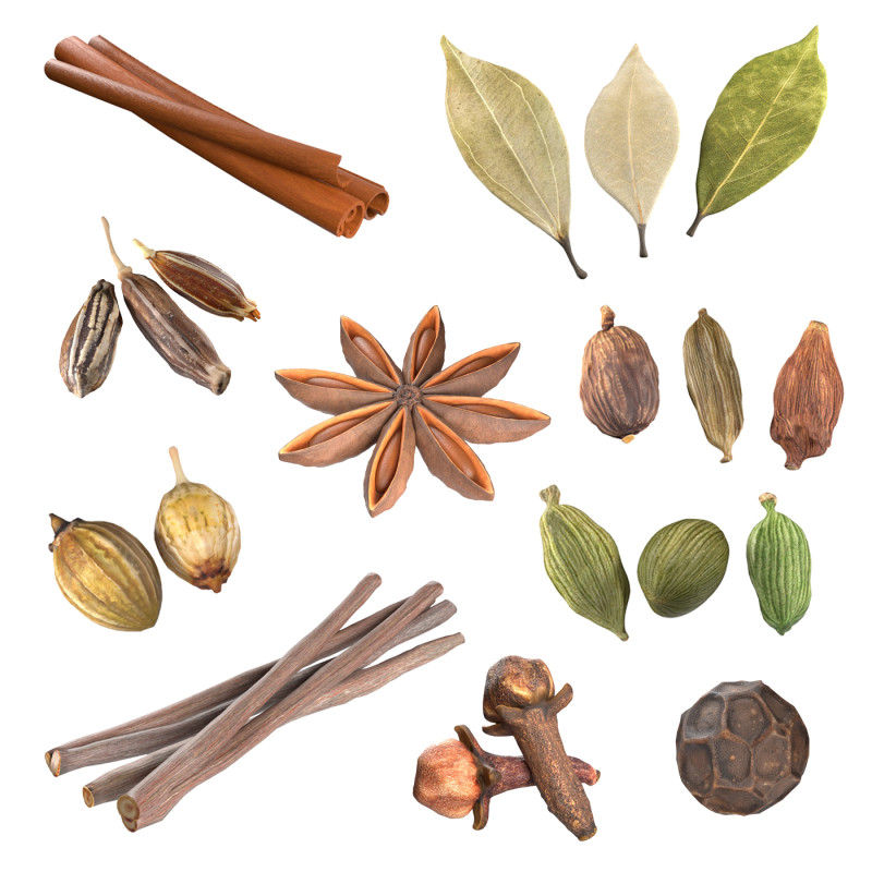 Spice Collection v1 3D Модель .c4d .max .obj .3ds .fbx .stl .blend