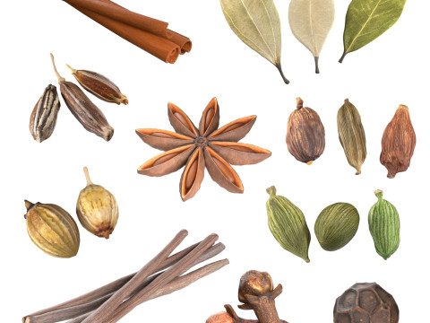 Spice Collection v1 3D Model