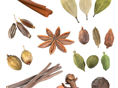 Collezione di spezie v1 Modello 3D