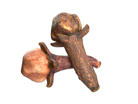 Spice Collection v1 3D Model