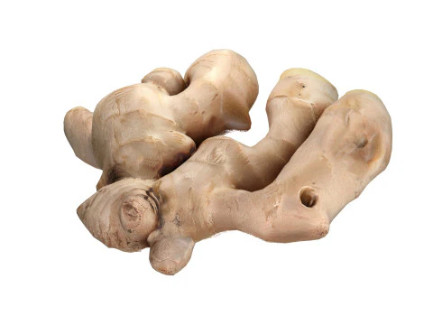 अदरक v2 3D मॉडल