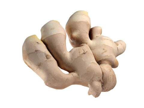 अदरक v2 3D मॉडल