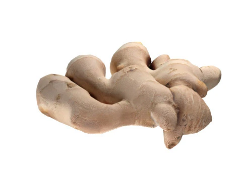 अदरक v2 3D मॉडल