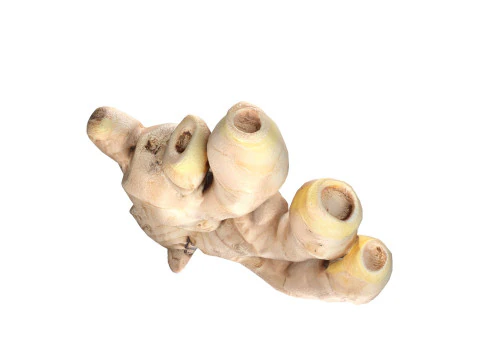 अदरक v2 3D मॉडल