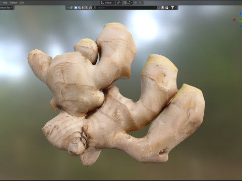 Ginger v2 3Dモデル