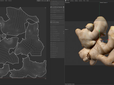 Ginger v2 3Dモデル