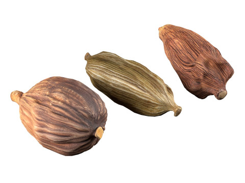 Spice Collection v2 3D 모델