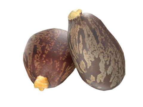 Caster seed set 3D Модель