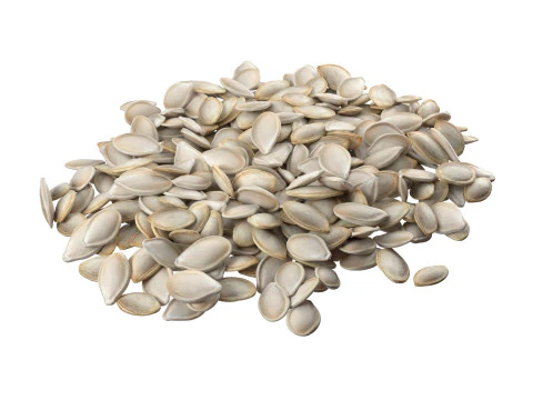 Seed Collection v1 3D Model