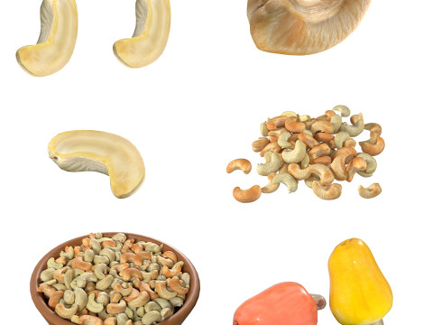 Cashew fruit set 3D मॉडल