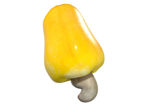 Cashew fruit set Modèle 3D