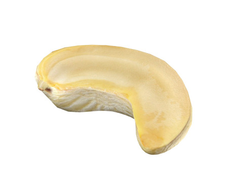 Cashew fruit set Modèle 3D