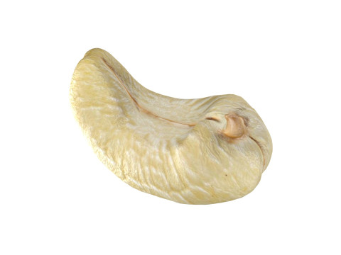Cashew fruit set Modèle 3D