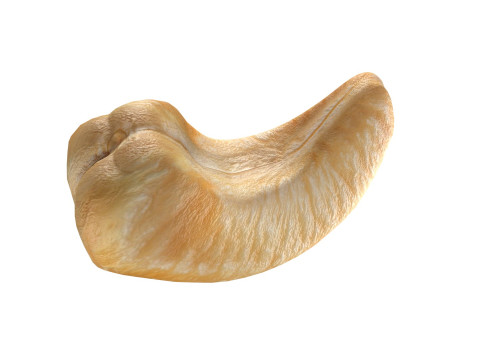 Cashew fruit set Modèle 3D