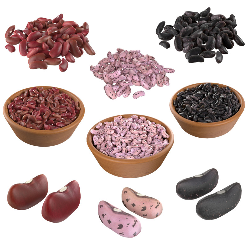 Kidney Bean Collection 3D 모델 .c4d .max .obj .3ds .fbx .stl .blend 