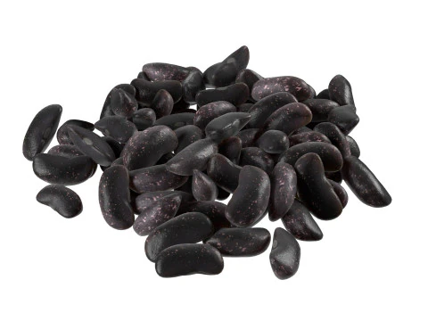 Kidney Bean Collection 3D Model