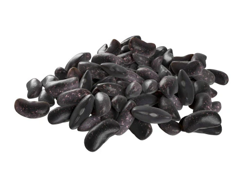 Kidney Bean Collection 3D Model
