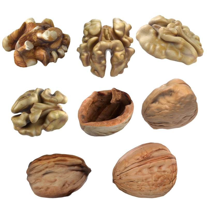 Walnut collection 3D 모델 .c4d .max .obj .3ds .fbx .stl .blend