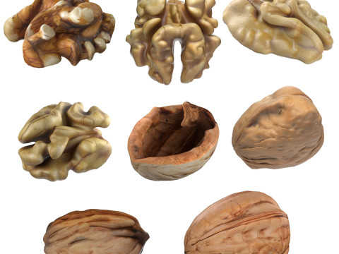 Walnut collection 3D Модель