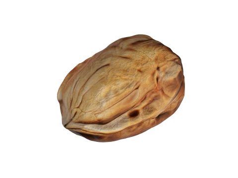 Walnut collection 3D Model