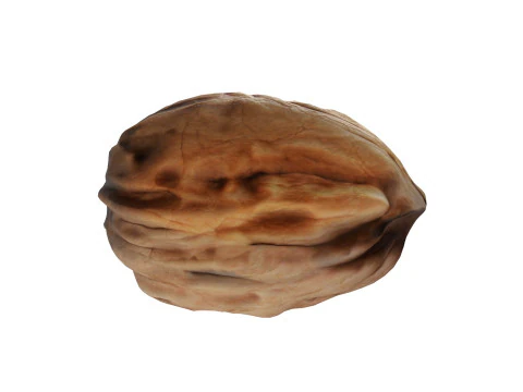 Walnut collection 3D Model