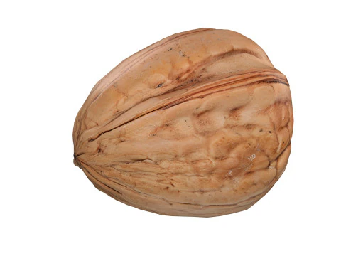 Walnut collection 3D Model