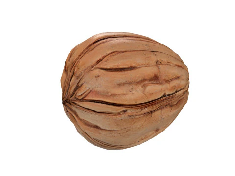 Walnut collection 3D Model