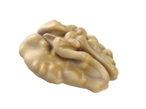 Walnut collection 3D Model