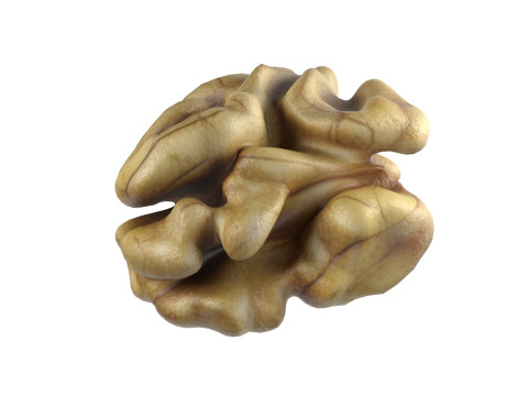 Walnut collection 3D 모델