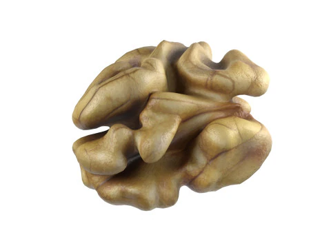 Walnut collection 3D Model