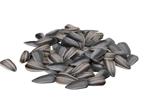 Sunflower seed collection 3D Model