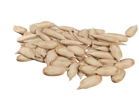 Sunflower seed collection 3D 模型