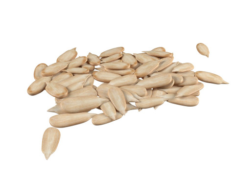 Sunflower seed collection 3D 模型