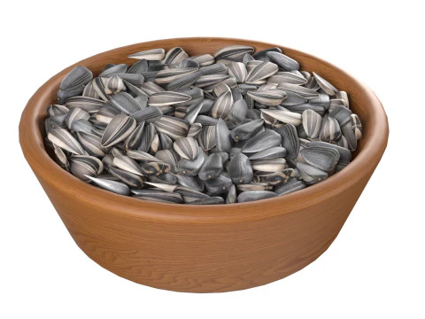 Sunflower seed collection 3D Model