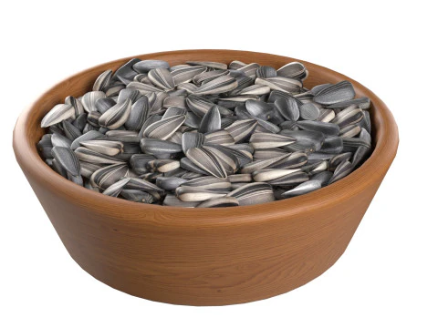 Sunflower seed collection 3D Model