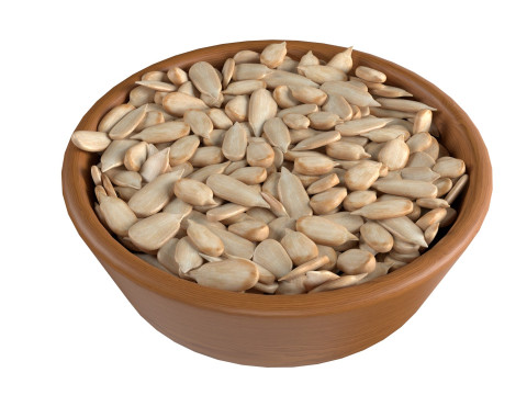 Sunflower seed collection 3D 模型