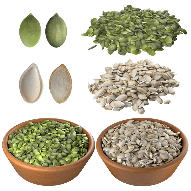 Pumpkin seed collection 3D Model .c4d .max .obj .3ds .fbx .stl .blend
