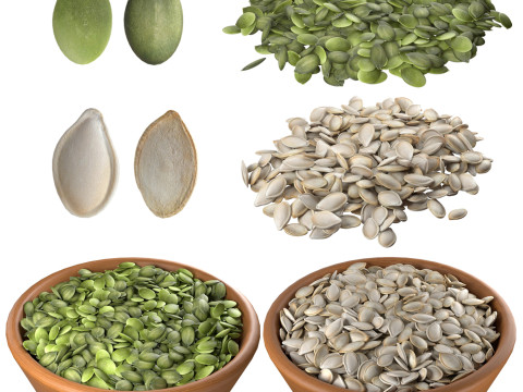 Pumpkin seed collection 3D Модель