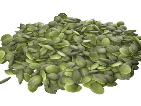 Pumpkin seed collection 3D Model