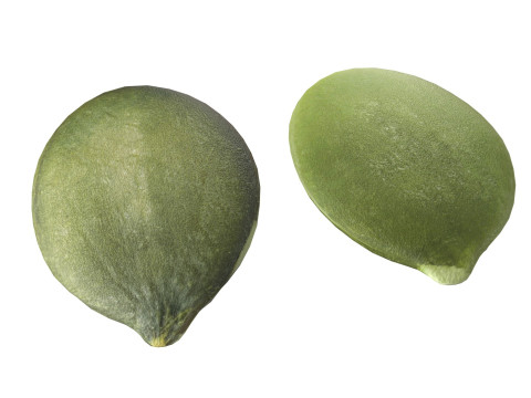 Pumpkin seed collection 3D Model
