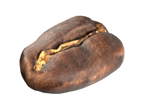 Coffee Bean set 3D Model