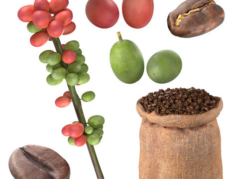 Coffee Bean set 3D Model