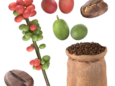 Coffee Bean set 3D Model