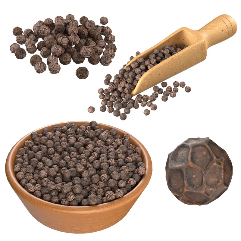 Dried Peppercorn Collection 3D Model .c4d .max .obj .3ds .fbx .stl .blend 
