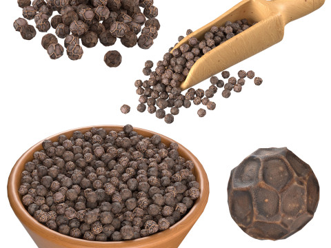 Dried Peppercorn Collection Modèle 3D