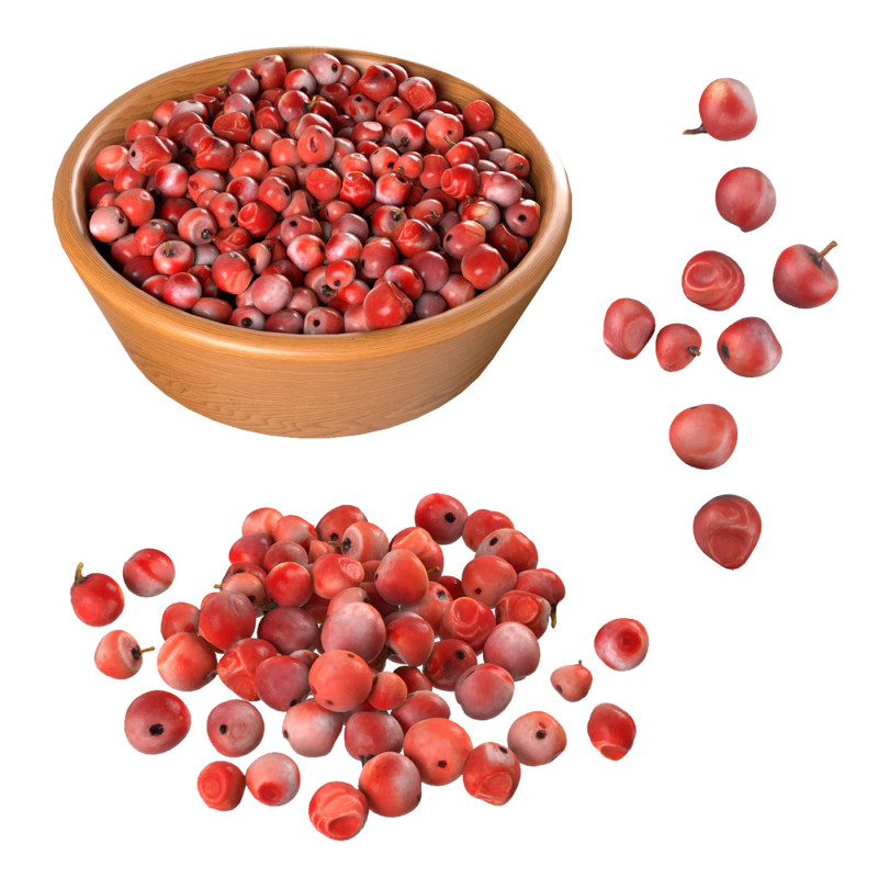 Red Dried Peppercorn 3D 모델 .c4d .max .obj .3ds .fbx .stl .blend 
