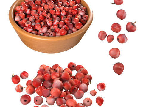 Red Dried Peppercorn Modèle 3D