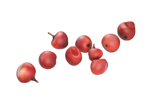Red Dried Peppercorn 3D 모델