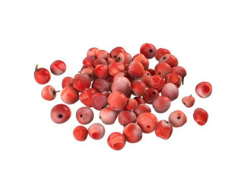 Red Dried Peppercorn 3D 모델